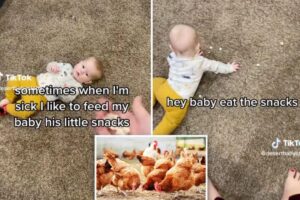 Mãe viraliza ao dizer que alimenta o filho como se fosse uma galinha