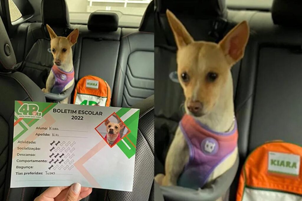Kiara e seu ‘boletim escolar’