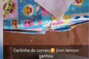 A tia mostrou as péssimas condições em que o presente chegou