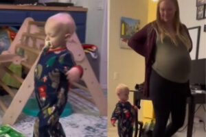 A garrafa foi encontrada por acaso pelo encanador que a família havia contratado para um serviço