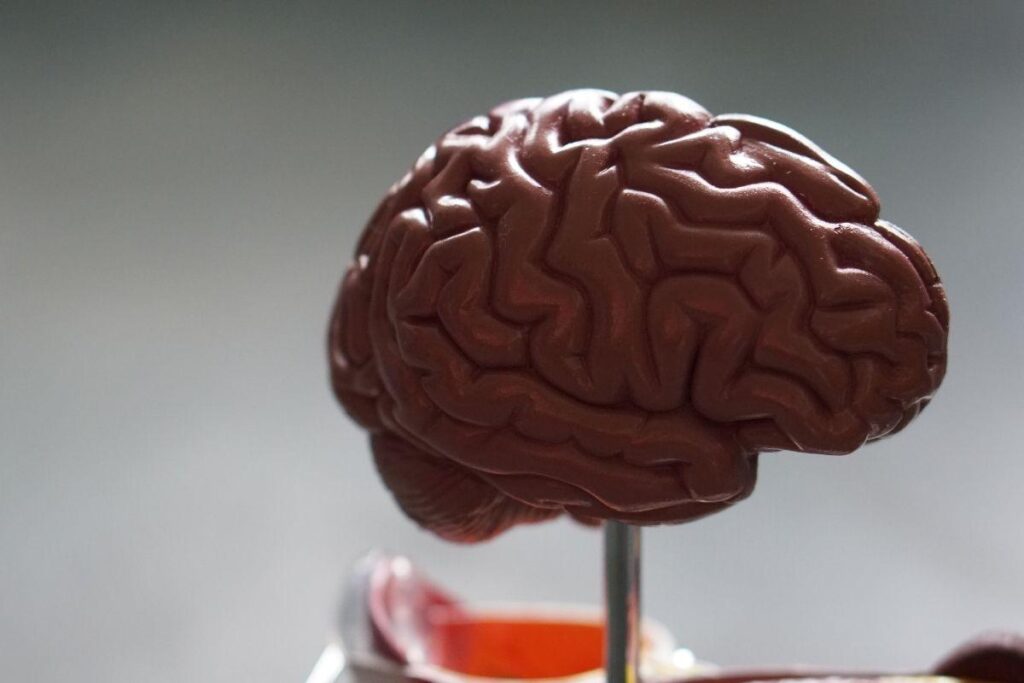 Crianças superdotadas apresentam inteligência acima da média