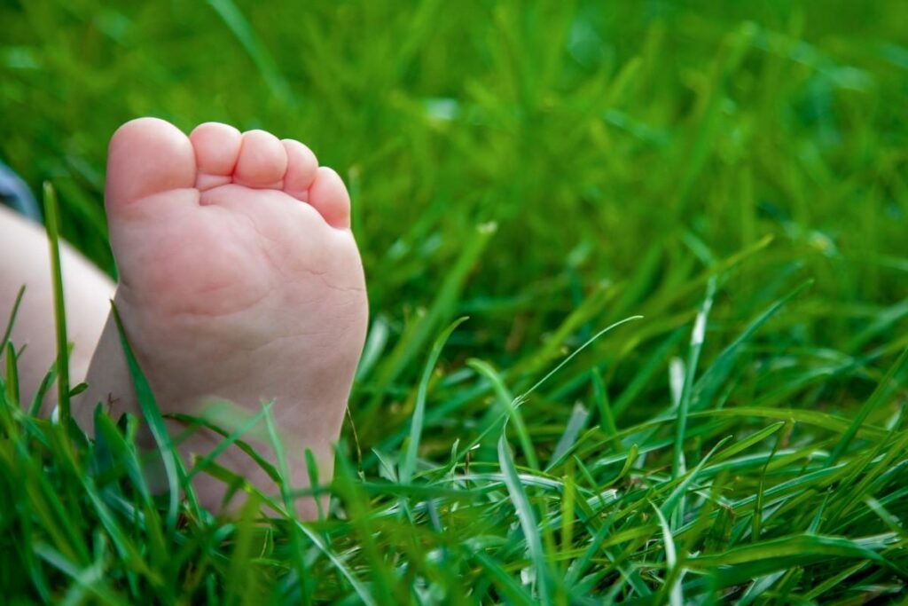 Deixar o seu filho explorar a natureza é necessário para o desenvolvimento dele