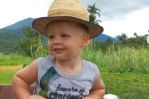 Menino faz sucesso ao brincar com galo na internet