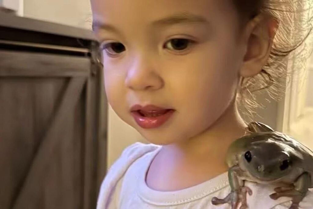 Menina de 2 anos ganha sapo de estimação e se tornam inseparáveis