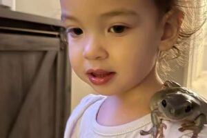 Menina de 2 anos ganha sapo de estimação e se tornam inseparáveis