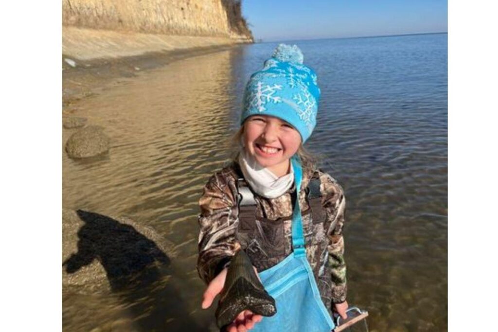 Menina de 8 anos encontrou um dente de tubarão raro