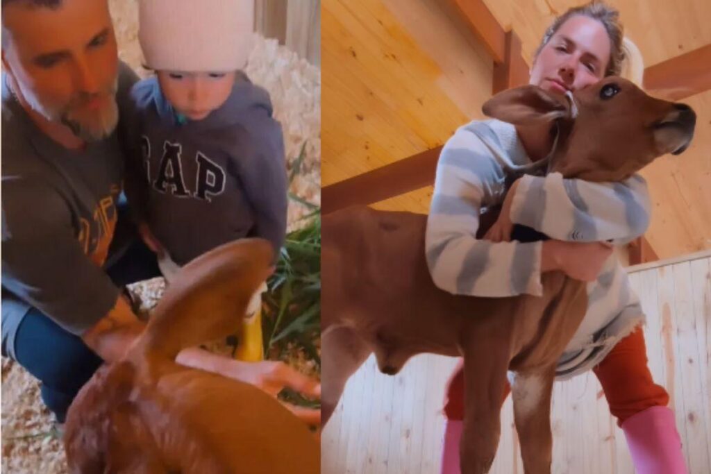 Giovanna Ewbank com os filhos Titi, Bless, Zyan e o marido Bruno Gagliasso