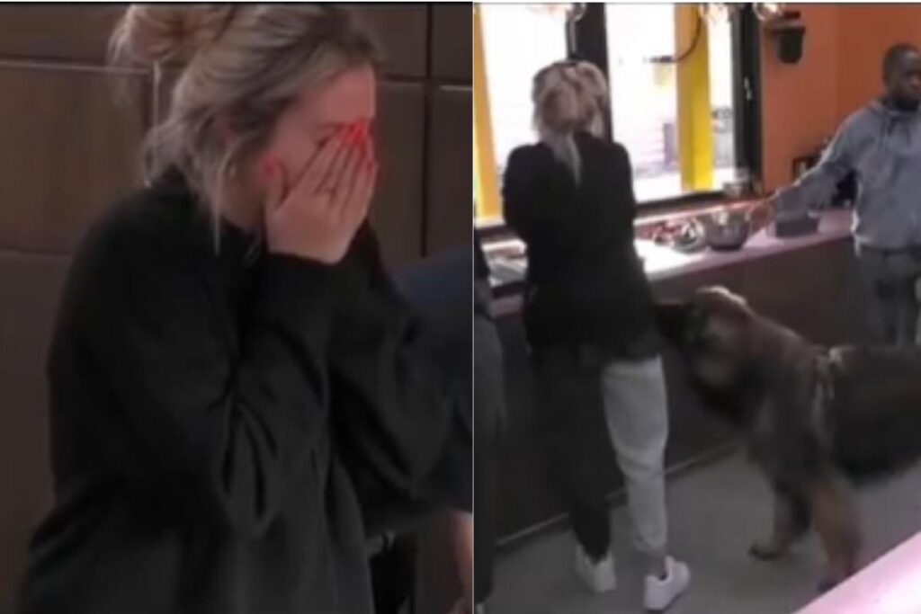 Uma cena do BBB belga/holandês está repercutindo e chocando internautas que alegam tortura psicológica