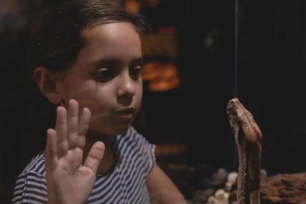 Criança acorda com mordida de cobra que estava enrolada em seu corpo