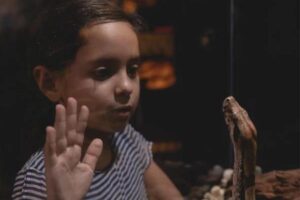 Criança acorda com mordida de cobra que estava enrolada em seu corpo