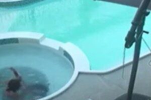 O momento foi de terror