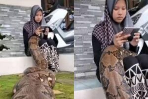 Pai é surpreendido pela filha e recebe transpante de rim