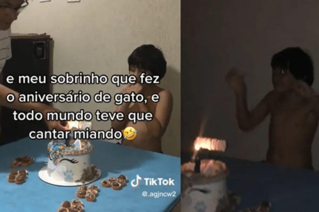 Menino faz festa com tema de gatos