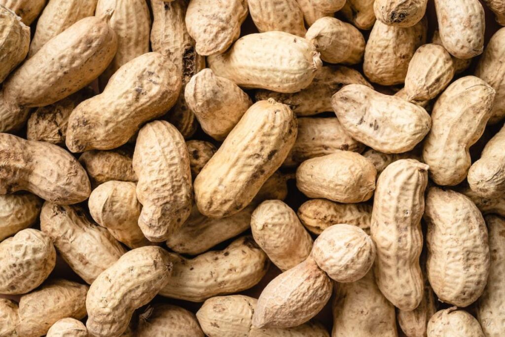 Introduzir alimentos que tenham amendoim para bebês entre 4 e 6 meses pode reduzir alergias, diz estudo