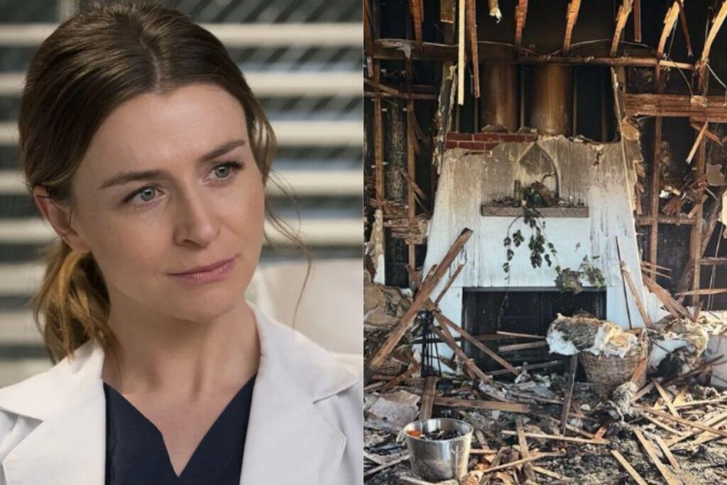 Ela é conhecida por interpretar a Amelia Shepherd