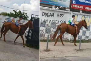 Menino anda a cavalo para chegar a escola