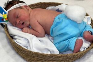 Bebê ganham fantasias de coelhos