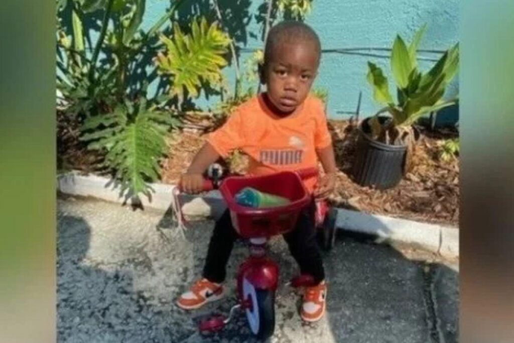 Menino de 2 anos é encontrado na boca de jacaré