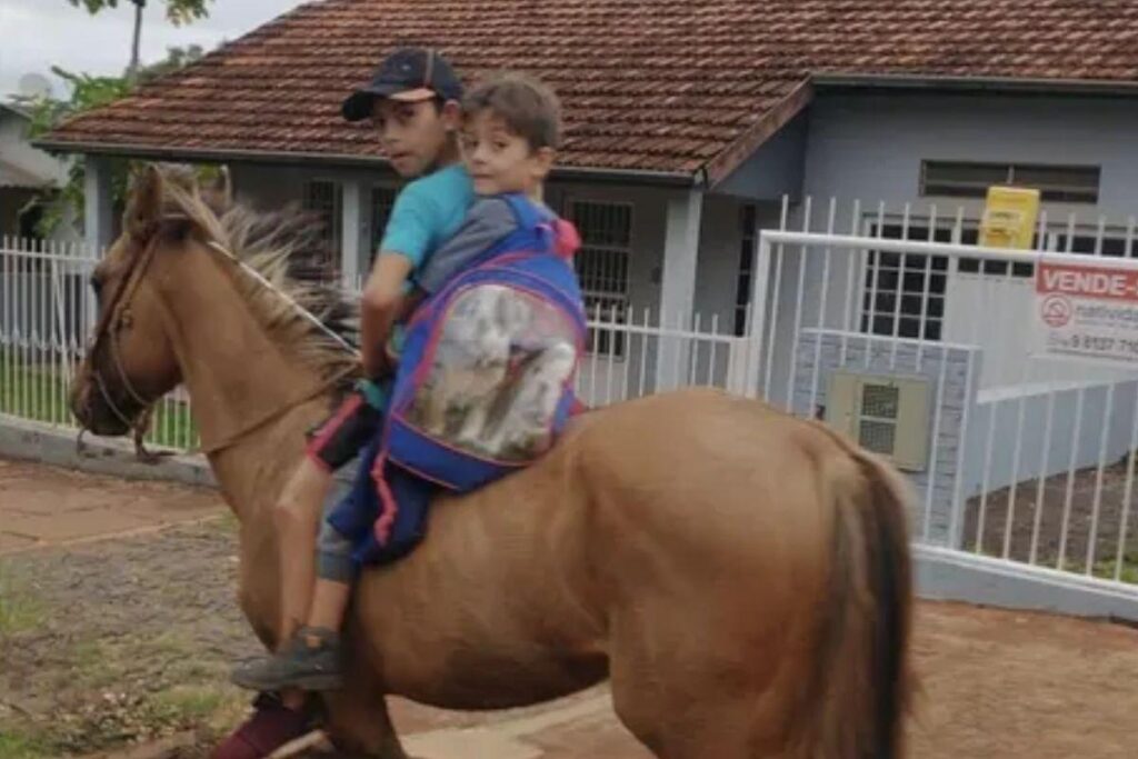 Menino leva irmão para escola com cavalo