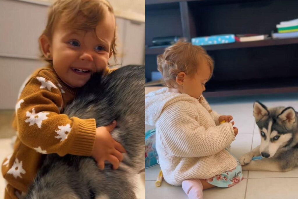 O vídeo prova que ela e o cão são melhores amigos