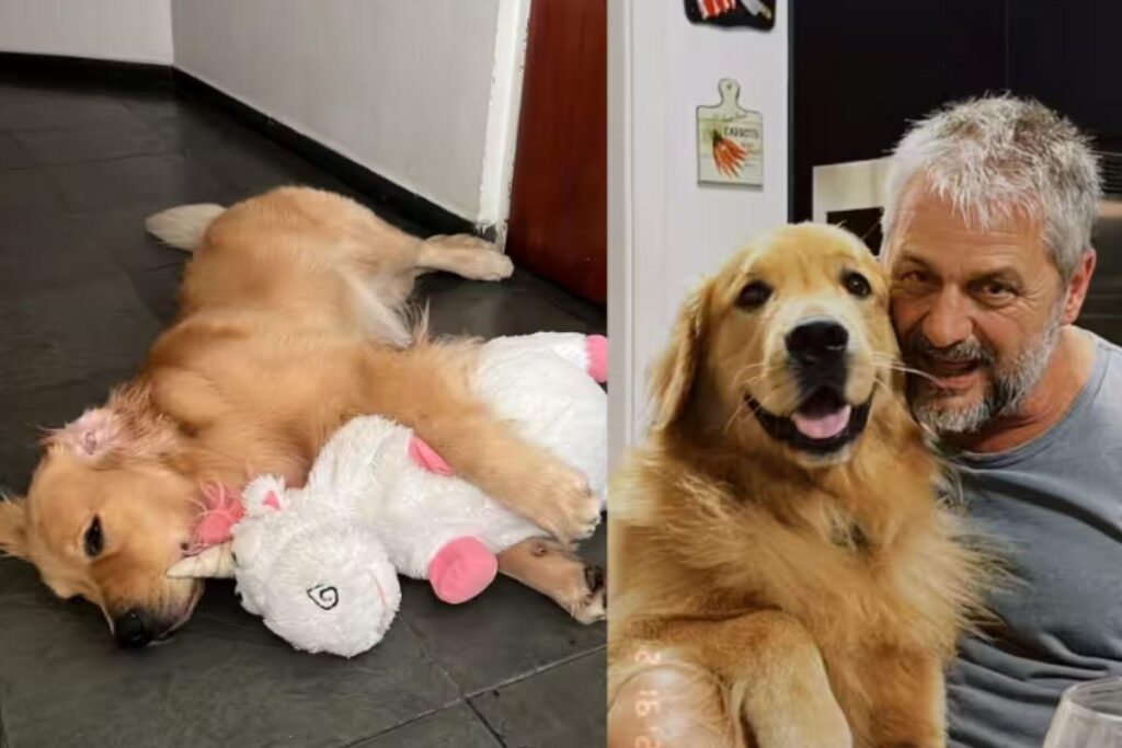 Pai que não queria adotar cachorro se torna melhor amigo dele