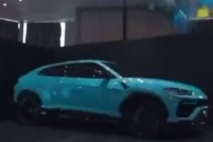 Casal gasta 20 milhões em chá revelação