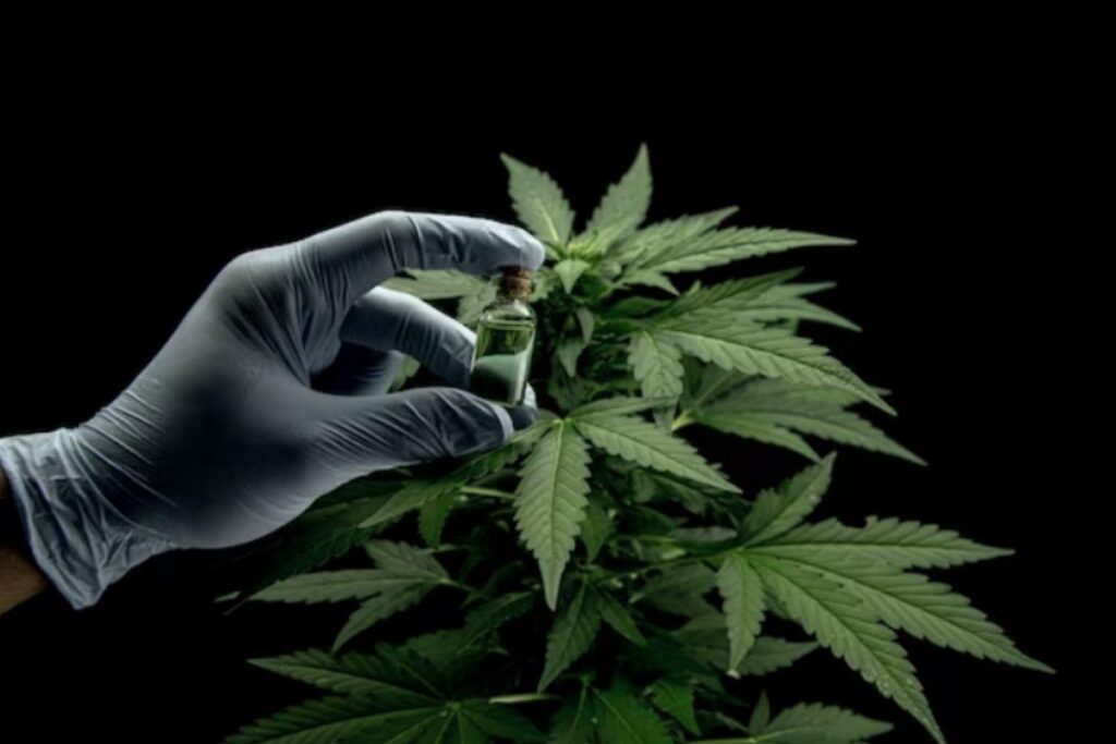 Haverá um período de transição de 60 dias