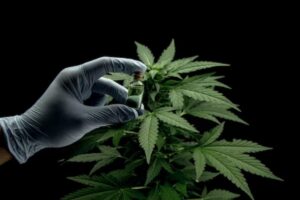 Haverá um período de transição de 60 dias