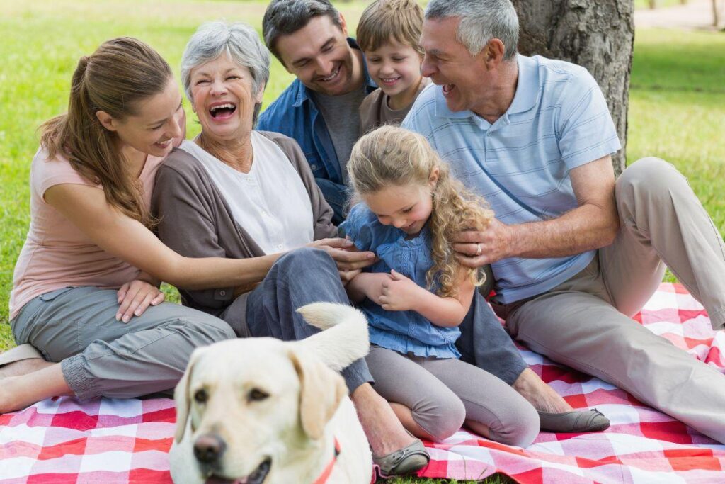 O dia dos avós é comemorado no dia 26 de julho