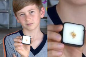 Menino de 12 anos acha pepita de ouro em passeio escolar