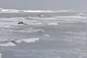 Corpo de Bombeiros salva pai e filho em alto mar