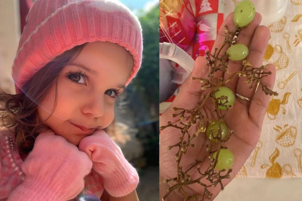 A criança estava comendo uva com o seu pai após o jantar, como era de costume