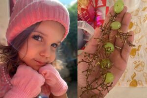 A criança estava comendo uva com o seu pai após o jantar, como era de costume