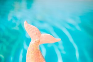 O folclore brasileiro é cheio de aventuras, histórias de coragem e mitos muito populares