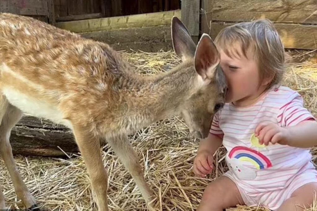 A mãe, rapidamente, pegou o telefone para capturar aquele momento único