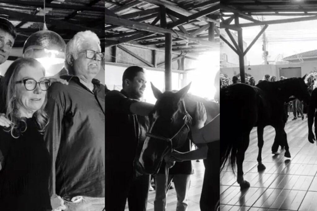 O cavalo foi levado ao velório da criança