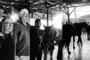 O cavalo foi levado ao velório da criança