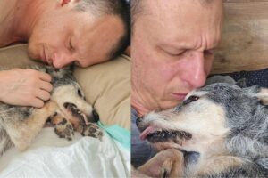 Estopinha ficou famosa por acompanhar Alexandre nos programas de televisão nos quais ele ia