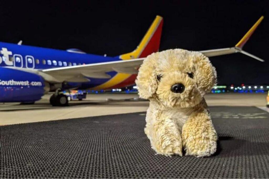 Southwest reúne menina com brinquedo de pelúcia desaparecido