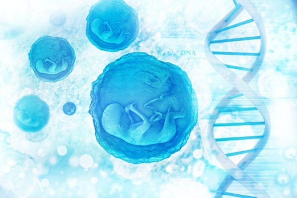 A fertilização foi feita em pessoas erradas