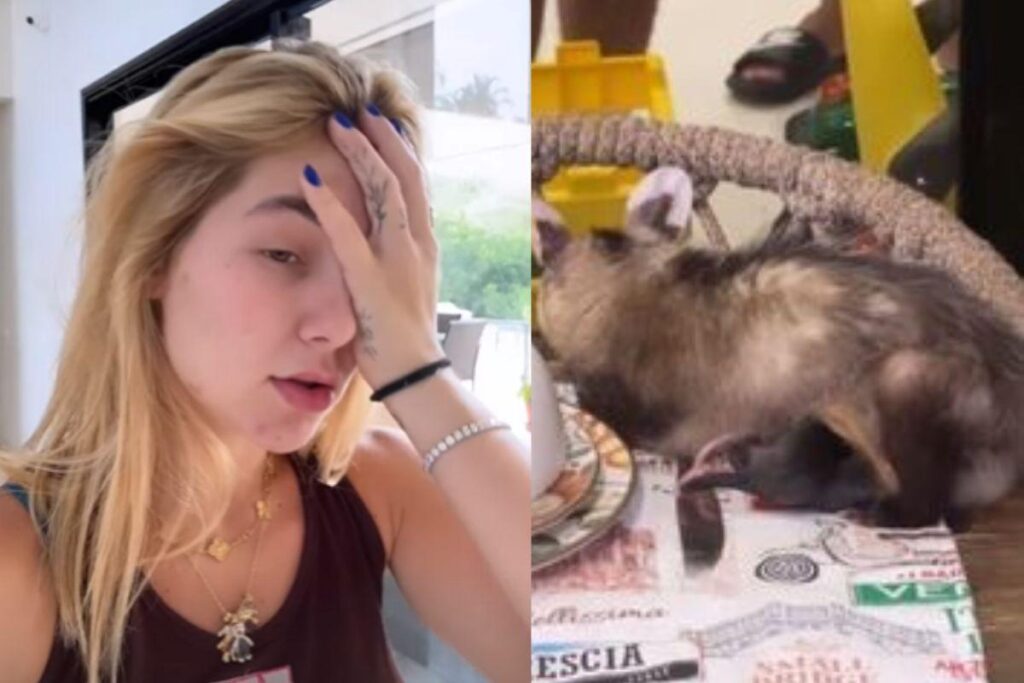 A influenciadora gravou o momento