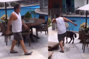 Poliana filmou o momento em que Leonardo chuta Alfredo