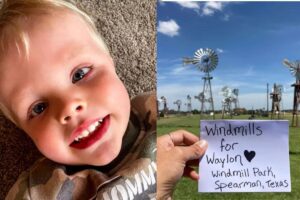 Menino morre após cômoda cair em cima dele