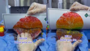 Desenho feito a partir de placenta faz sucesso nas redes sociais