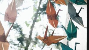 O sentimento do ninho vazio