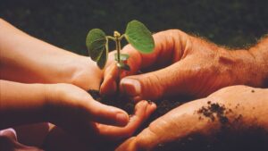 Criar filhos é uma tentativa de encontrar equilíbrio