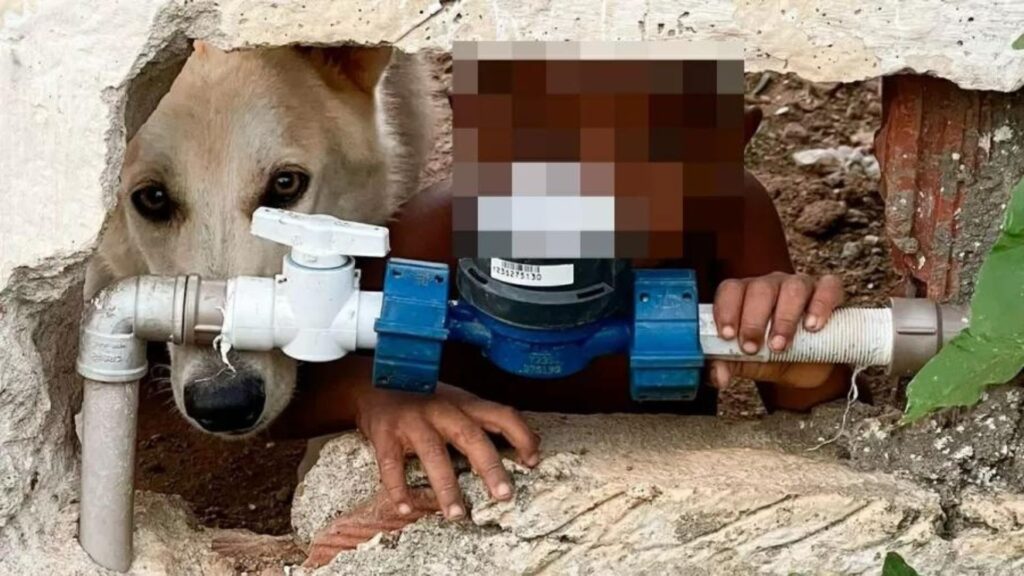 Criança de 2 anos foi deixada sozinha pela mãe