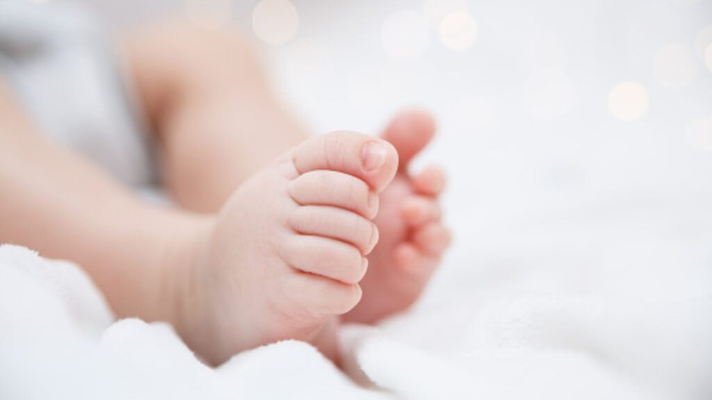 Conheça o lançamento de Pampers