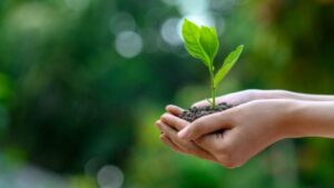 Nossa ancestralidade pode explicar nossos comportamentos