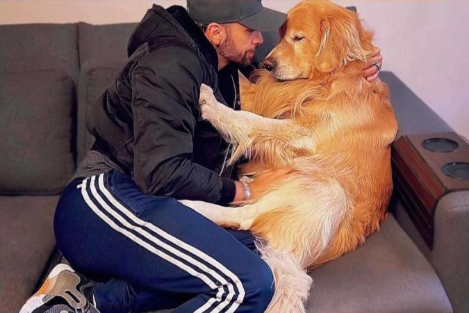 Laudo aponta causa da morte do cão Joca